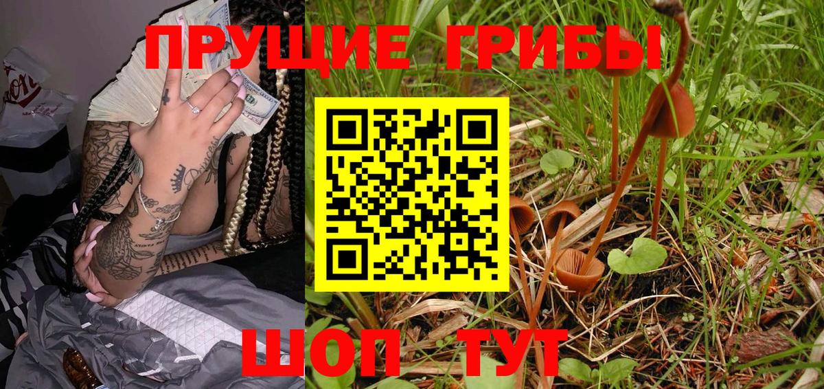 Псилоцибиновые грибы MAGIC MUSHROOMS  Псилоцибиновые грибы Magic Shrooms  Краснодар  Вход с VPN 